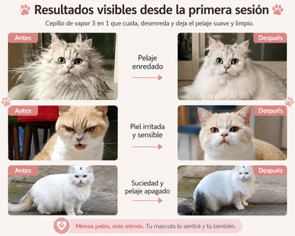 MimoSteam™ – Cepillo de Vapor 3 en 1 para Perros y Gatos